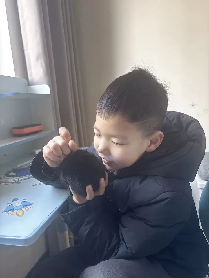 AI 대화 인형 음성대화 WiFi 연결 터치 반응 스마트 미니 인형 귀여운 인형 키링 가방 장식 힐링 장난감 photo review